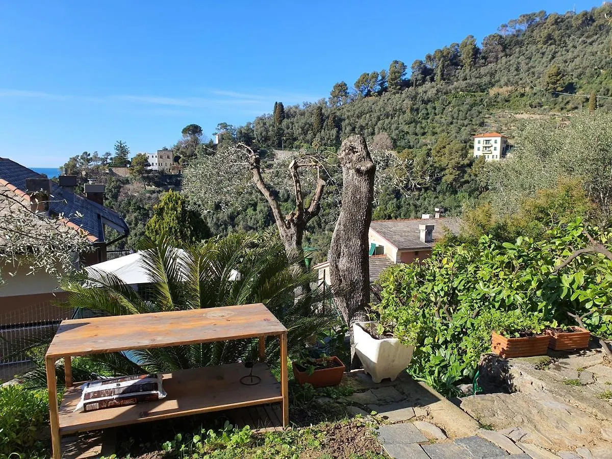 Michelina Apartment Zoagli Italy