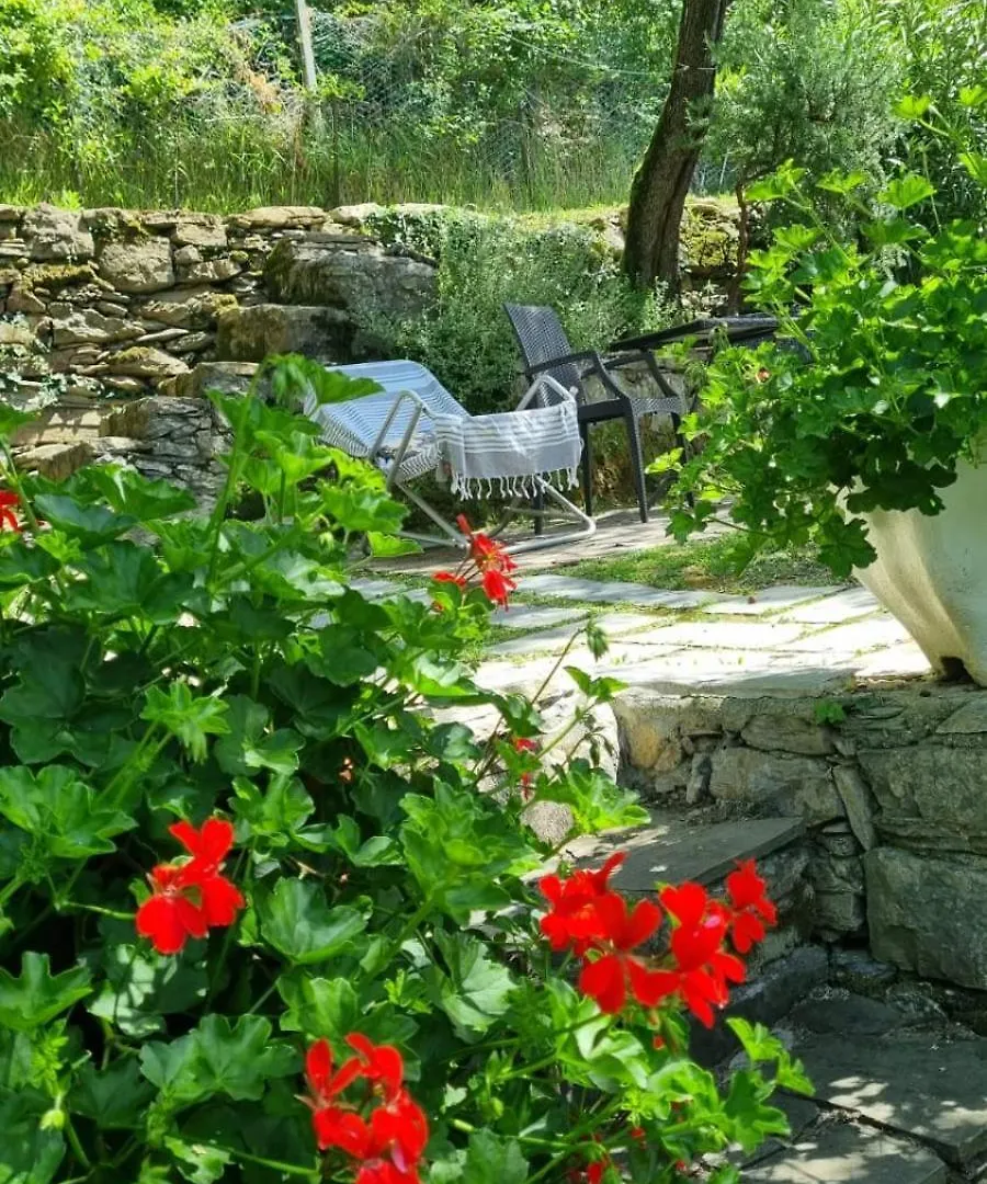 Michelina Apartment Zoagli